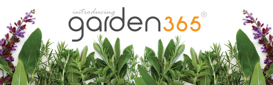 Garden365 Container Gardening 