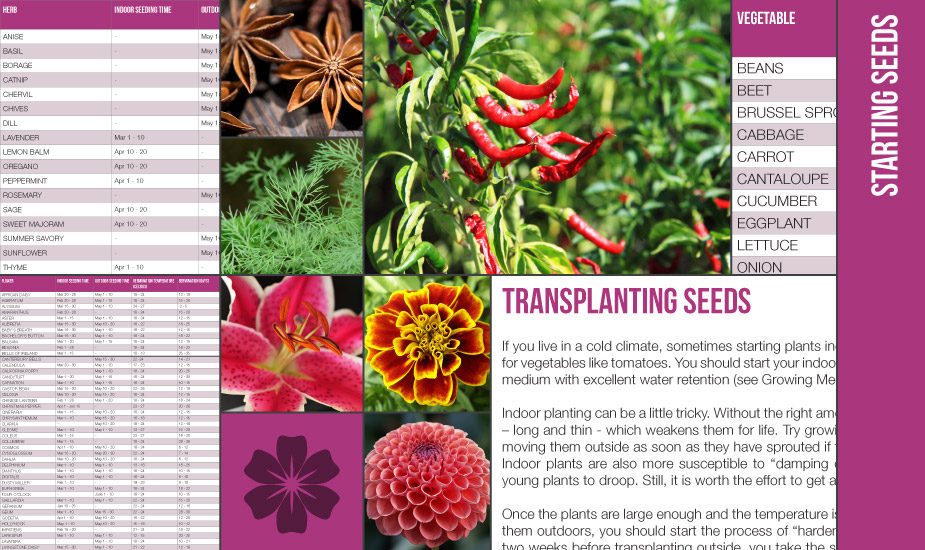 free-container-gardening-guide-garden365