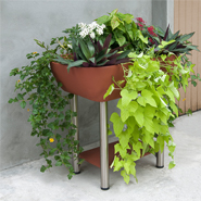 about container gardens