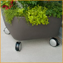 thumb balcony idea square planter on wheels