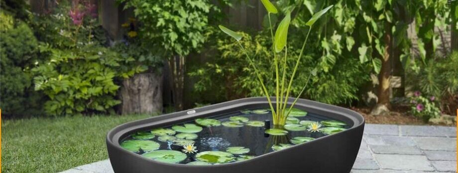 Water Feature Ideas and Solutions