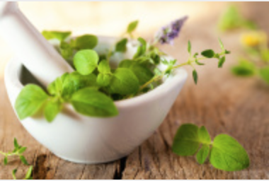how to grow herbs indoor choosing herbs
