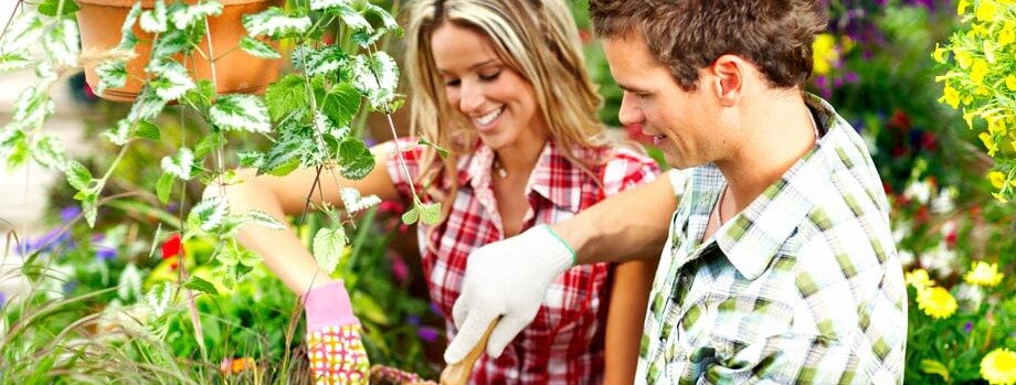 couples gardening for better health