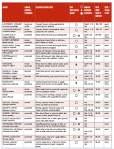 growing herbs in container gardening