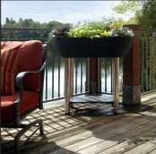 containers for Container Gardening Elevated Garden