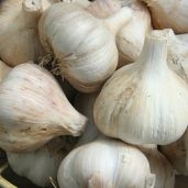 favourite herbs garlic